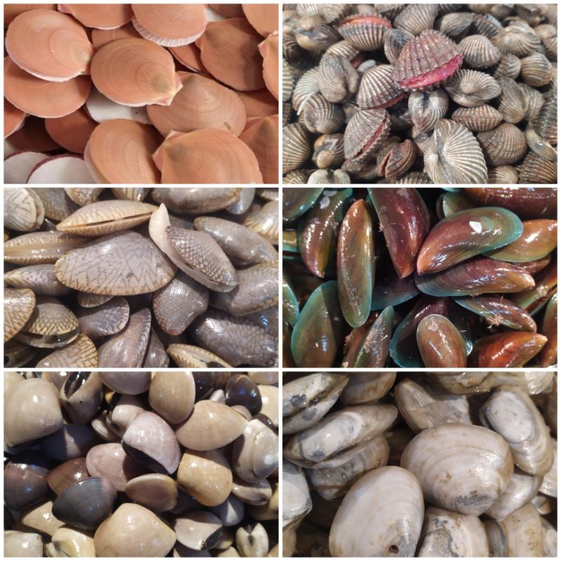 KERANG